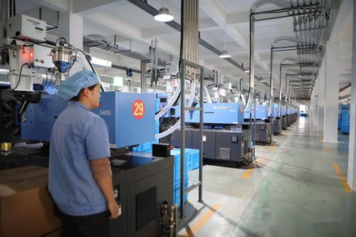 看桐城 三十而 立 綠 蔭拂地