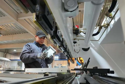 河北黃驊 推動企業(yè)深耕國際市場促發(fā)展