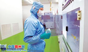 聚集顯合力 趁勢再揚(yáng)帆 贛州特色產(chǎn)業(yè)迸發(fā)新活力 圖