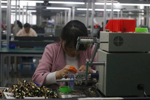 王宏兵赴武功縣調研督導“止滑促升、決戰收官”工作 助力電子材料生產發展